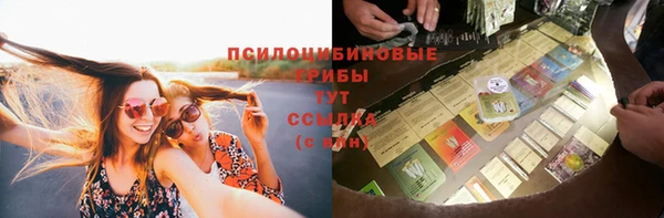 альфа пвп Инсар