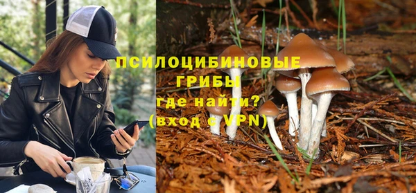 хмурый Иннополис