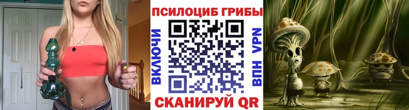 Купить  Поронайск  Галлюциногенные грибы Magic Shrooms 